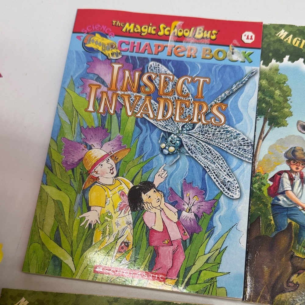 Magic Tree House Book Set - Picture 9 of 10